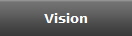 Vision