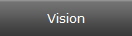 Vision